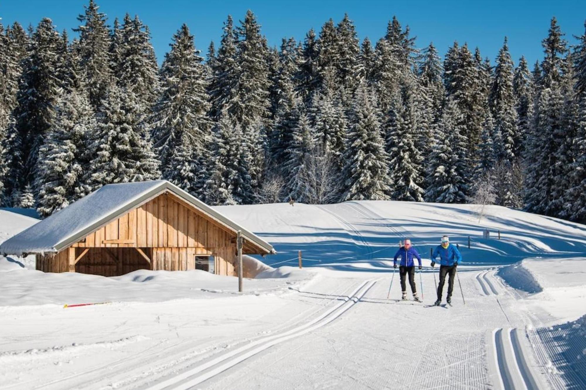 Superbe Appartement Au Pied Des Pistes -Le Chamois Les Déserts Exterior photo